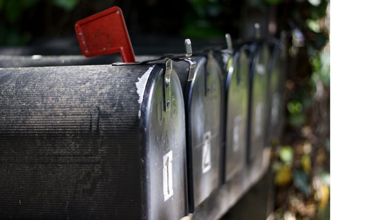 Weekly Newsletters
