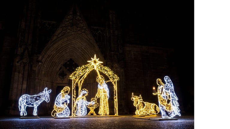 Digital Art Installations