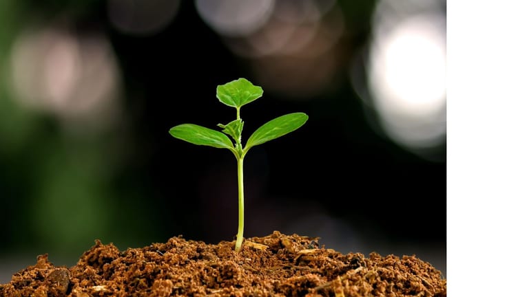 Church Leadership Growth