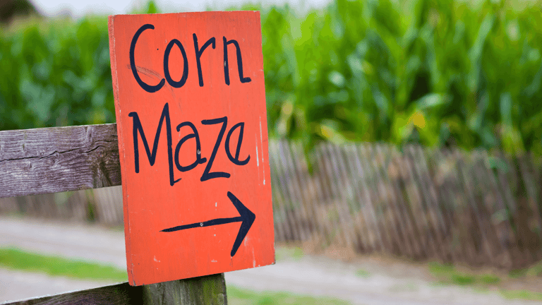 fall festival activities