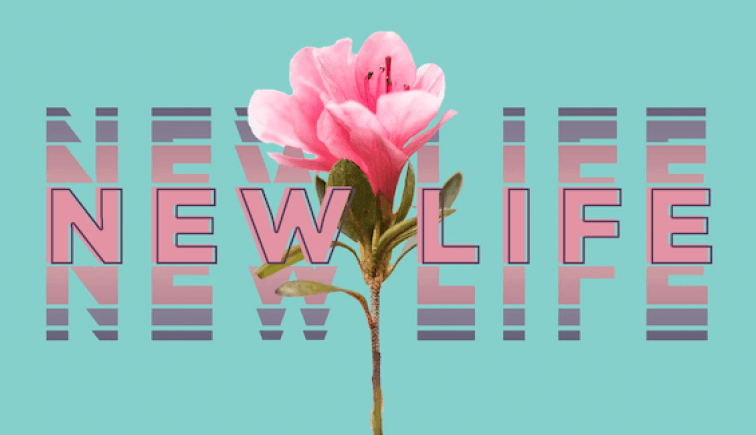 Easter sermon series graphic about new life through Jesus Christ