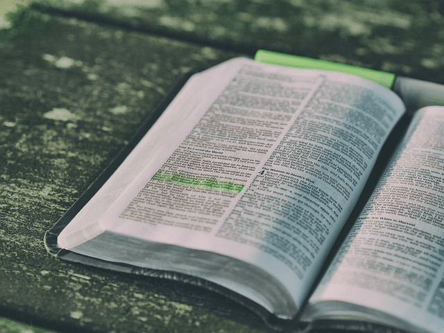 bible, book, open