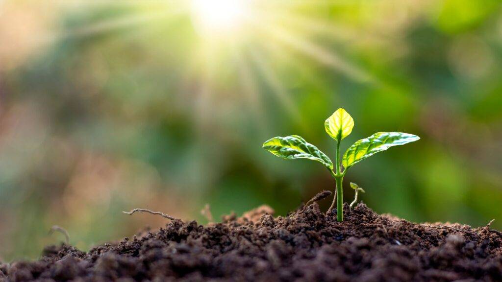 Offer Opportunities for Growth